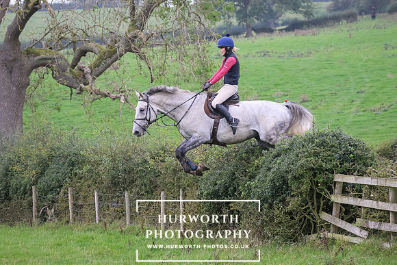 Hedge Hop 408