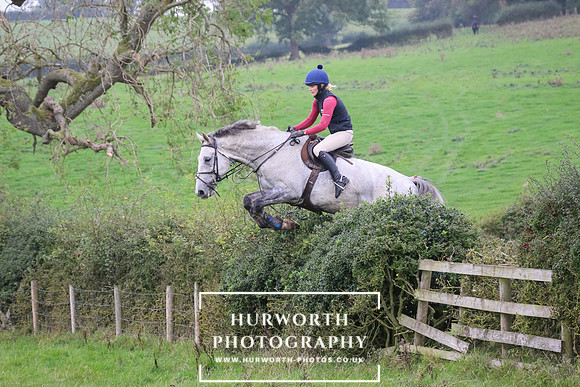 Hedge Hop 407