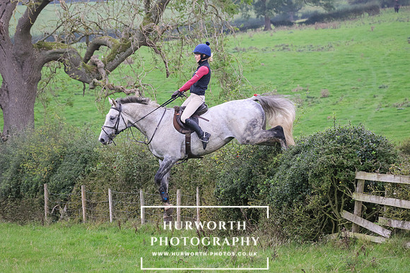 Hedge Hop 409