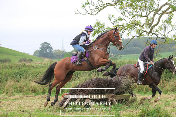 Hedge Hop 244
