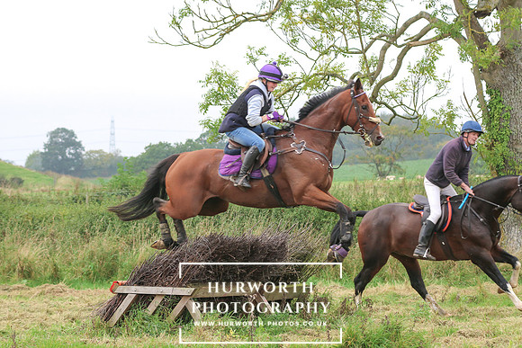 Hedge Hop 245