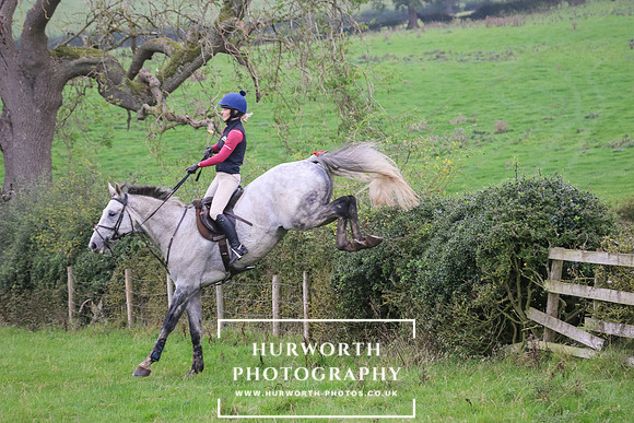 Hedge Hop 410