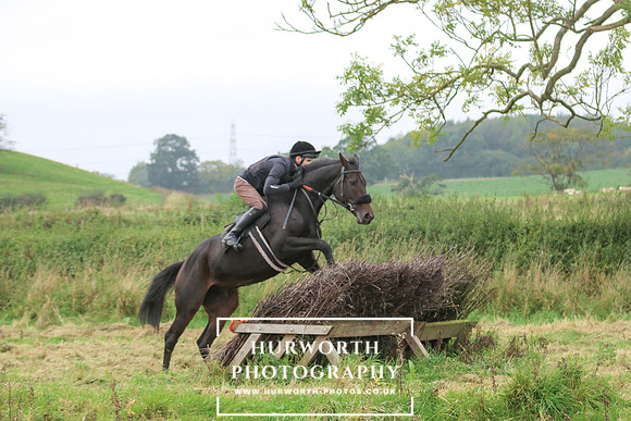 Hedge Hop 246