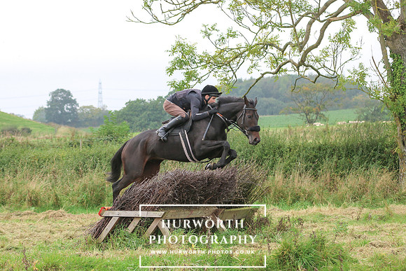 Hedge Hop 247