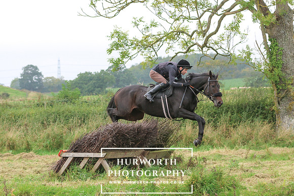 Hedge Hop 248