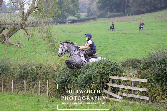 Hedge Hop 411