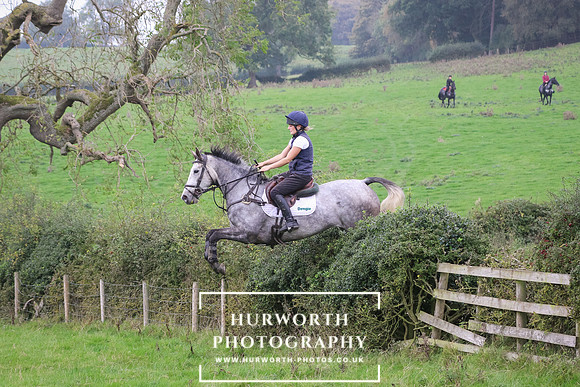 Hedge Hop 412