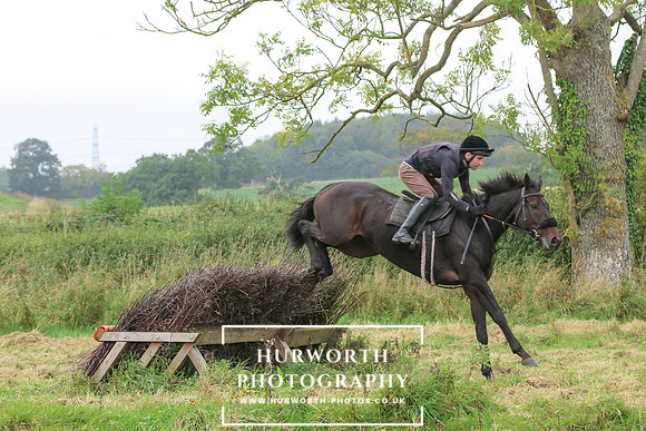 Hedge Hop 249