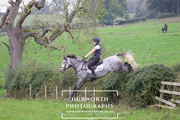 Hedge Hop 413