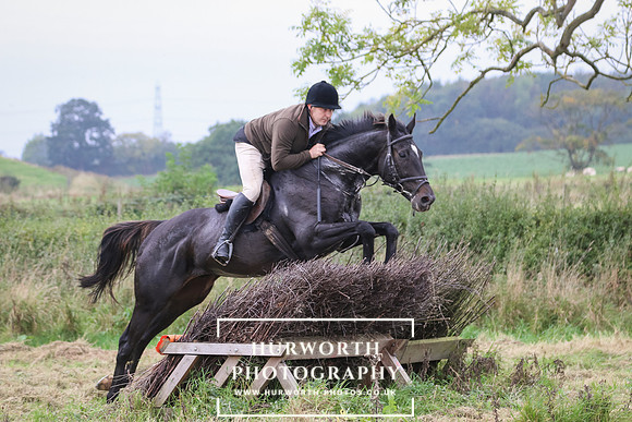 Hedge Hop 250