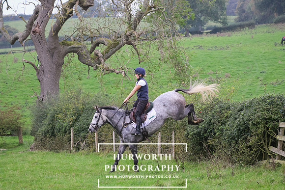 Hedge Hop 414