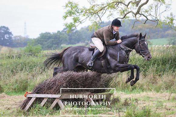 Hedge Hop 251