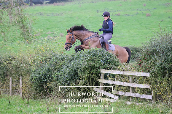 Hedge Hop 415