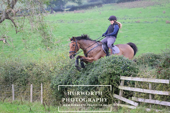 Hedge Hop 416
