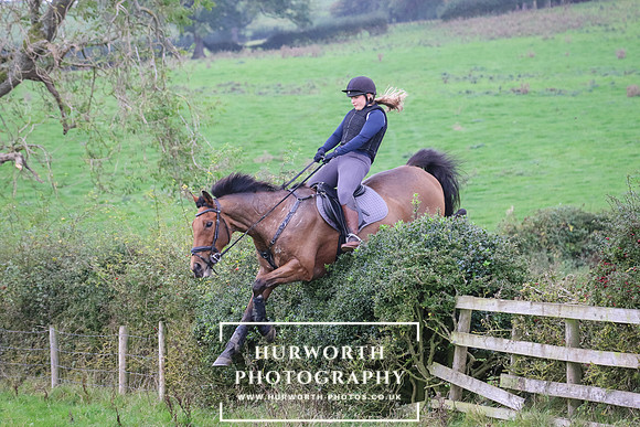 Hedge Hop 417