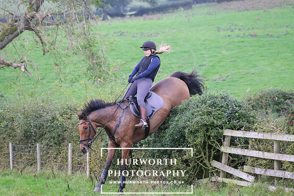 Hedge Hop 418
