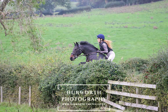 Hedge Hop 419