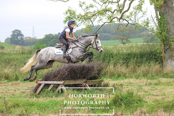 Hedge Hop 256