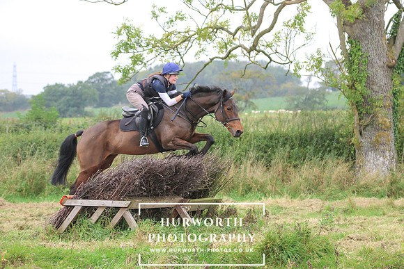 Hedge Hop 259