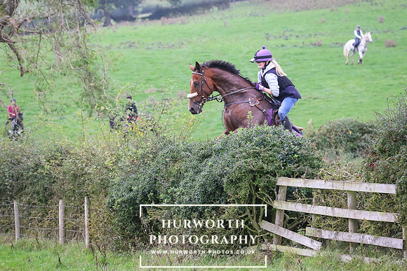 Hedge Hop 424