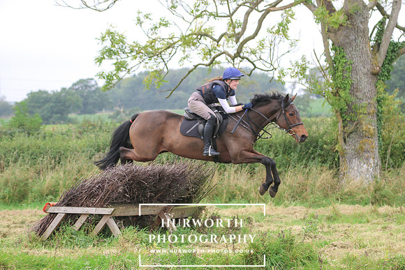 Hedge Hop 260