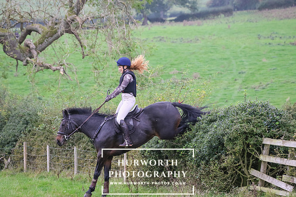 Hedge Hop 423