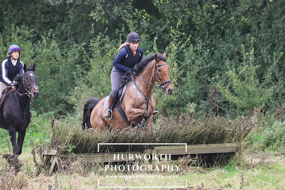 Hedge Hop 261