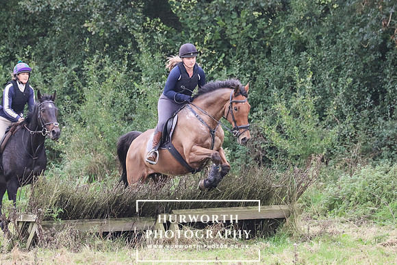 Hedge Hop 262