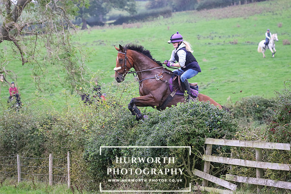 Hedge Hop 425