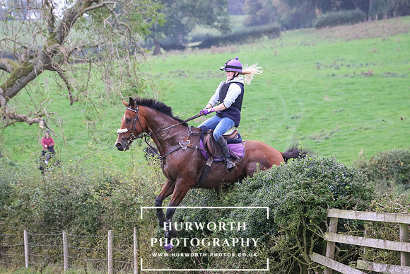 Hedge Hop 427