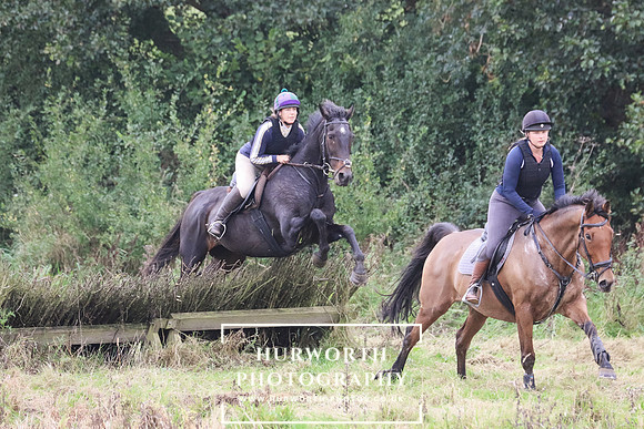 Hedge Hop 265