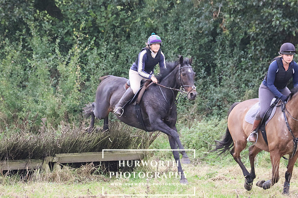 Hedge Hop 266