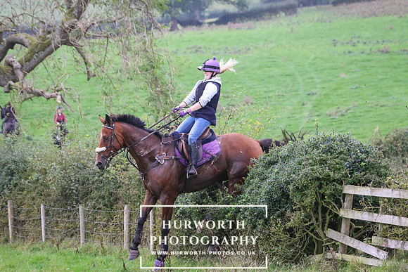 Hedge Hop 428