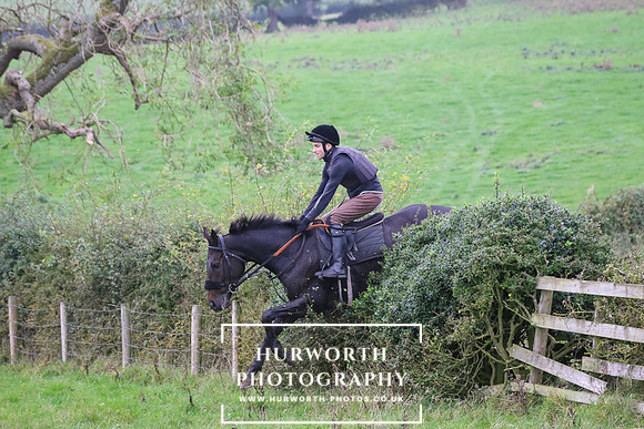 Hedge Hop 429