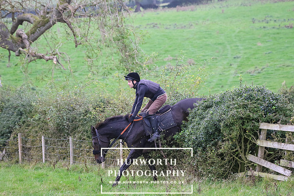 Hedge Hop 430