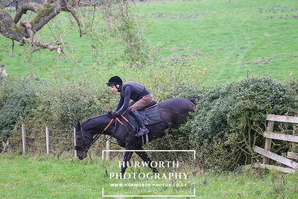 Hedge Hop 431