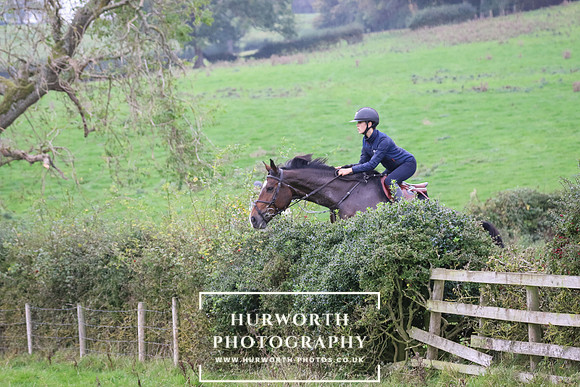 Hedge Hop 432
