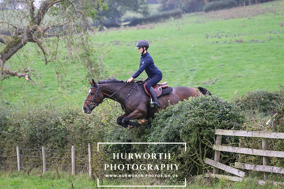 Hedge Hop 433
