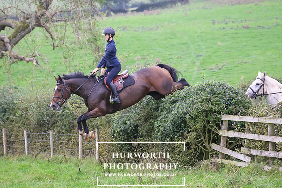 Hedge Hop 434