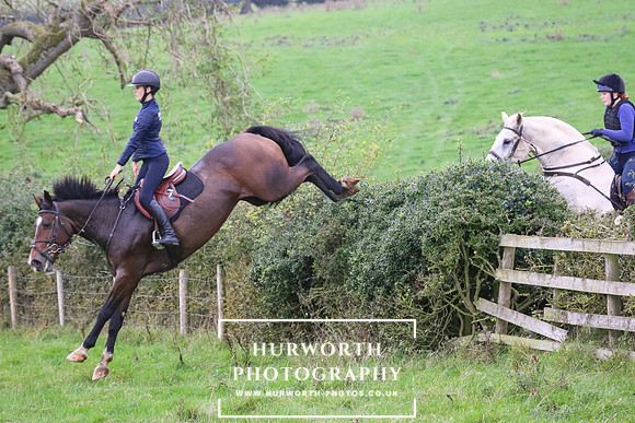 Hedge Hop 435
