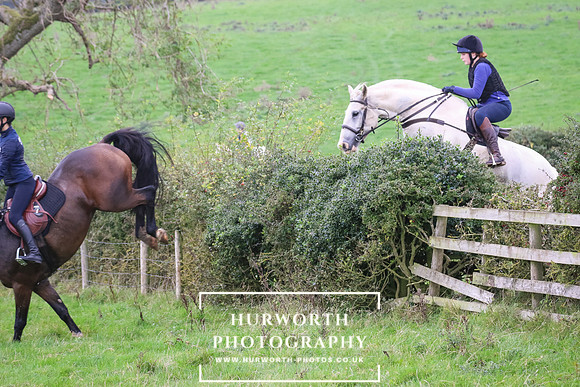 Hedge Hop 436