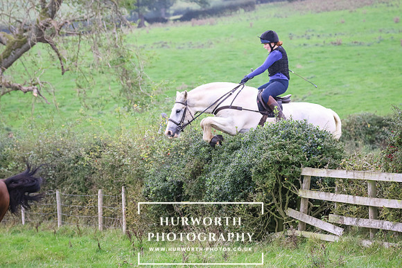 Hedge Hop 437