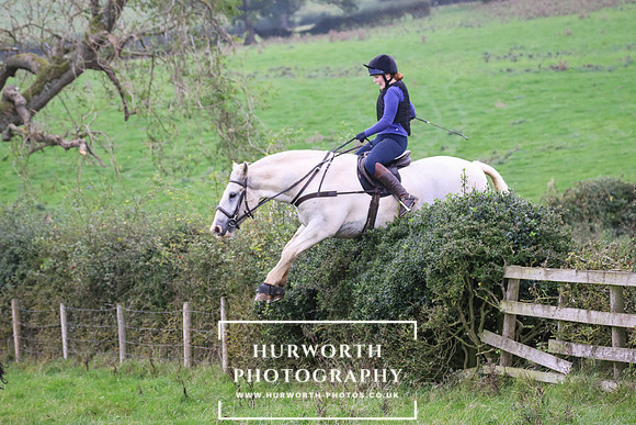 Hedge Hop 438