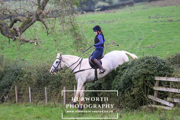 Hedge Hop 439