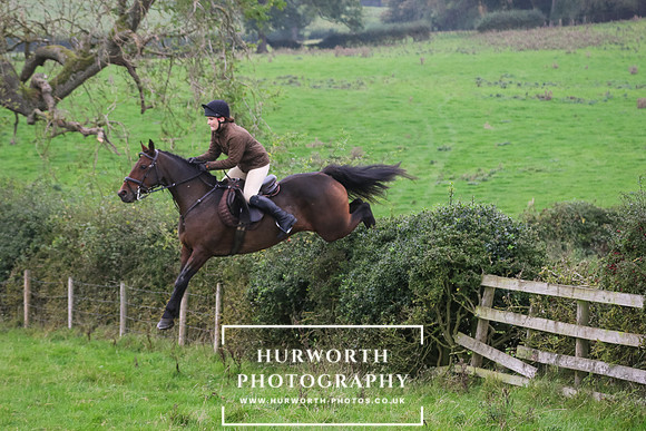 Hedge Hop 440