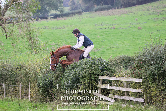 Hedge Hop 441