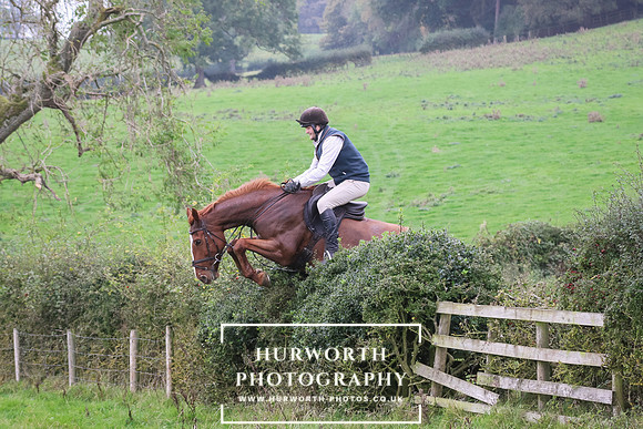 Hedge Hop 442