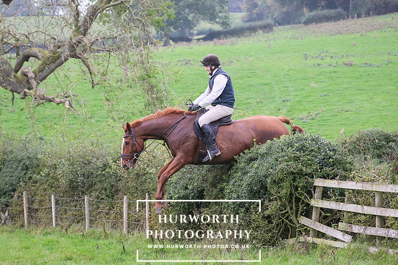 Hedge Hop 443