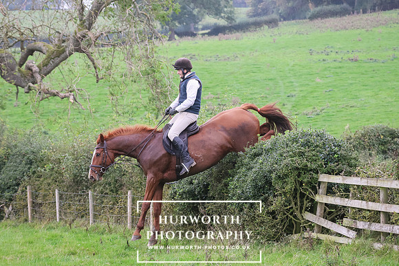 Hedge Hop 444