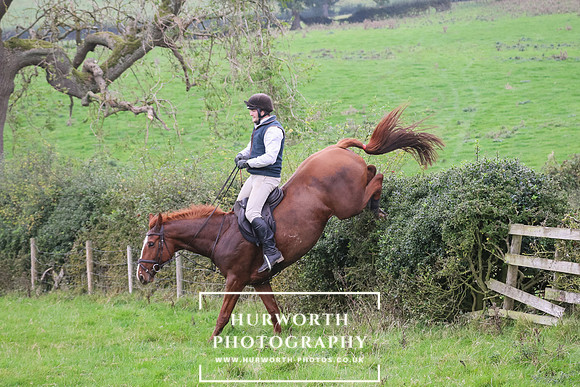 Hedge Hop 445